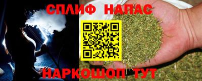 гидра Аша
